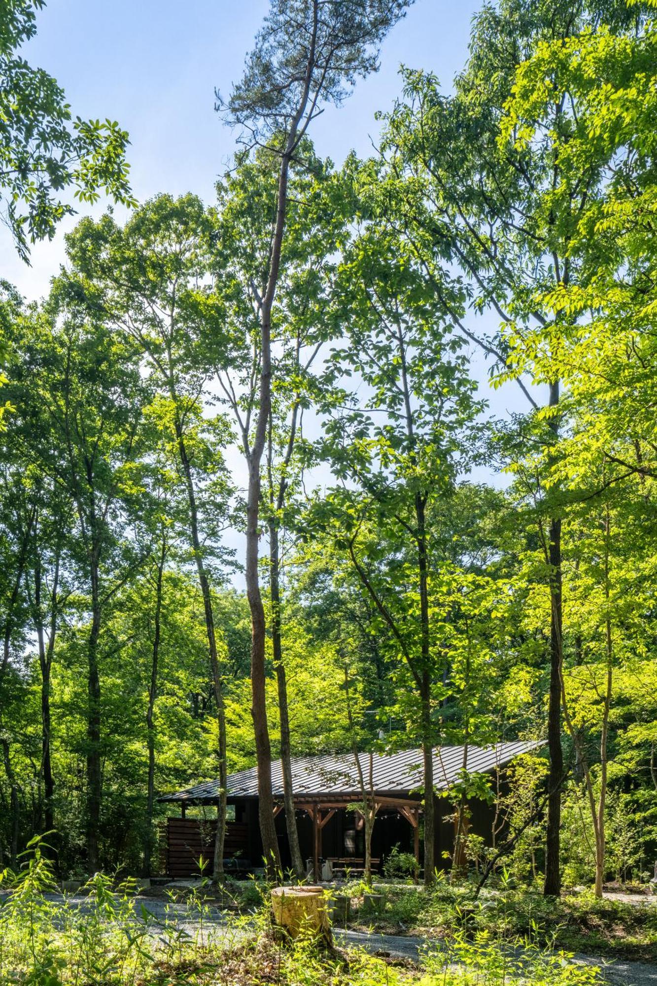 森の宿り 土庵まるやま Villa Nasu Ngoại thất bức ảnh